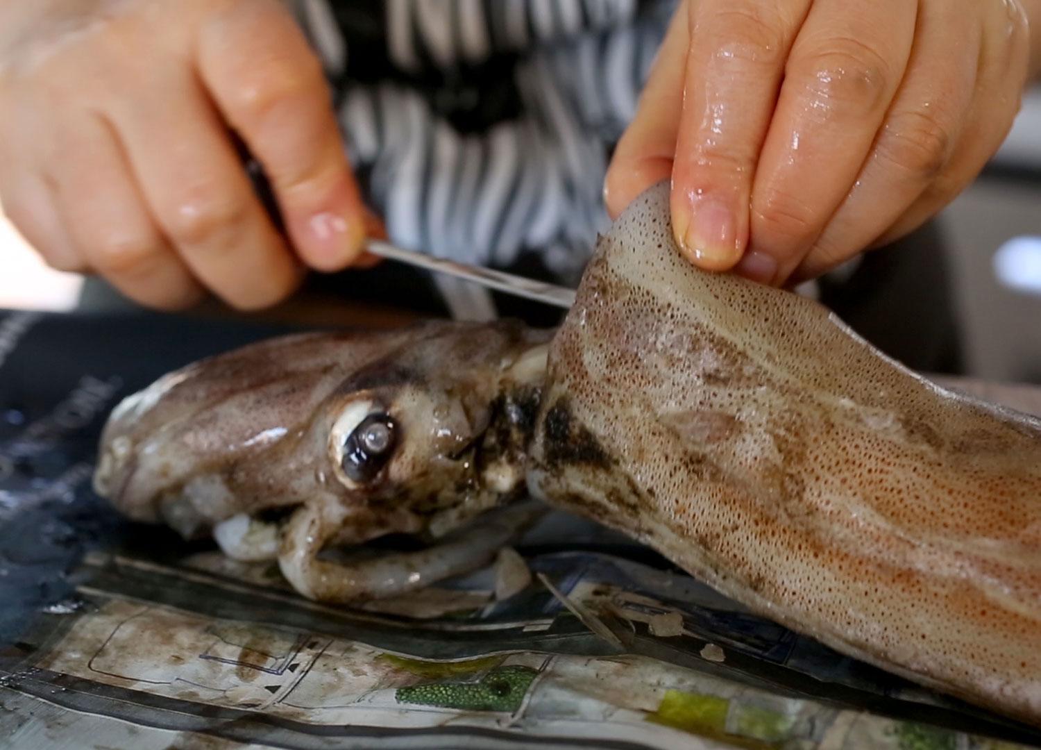 Cleaning Squid